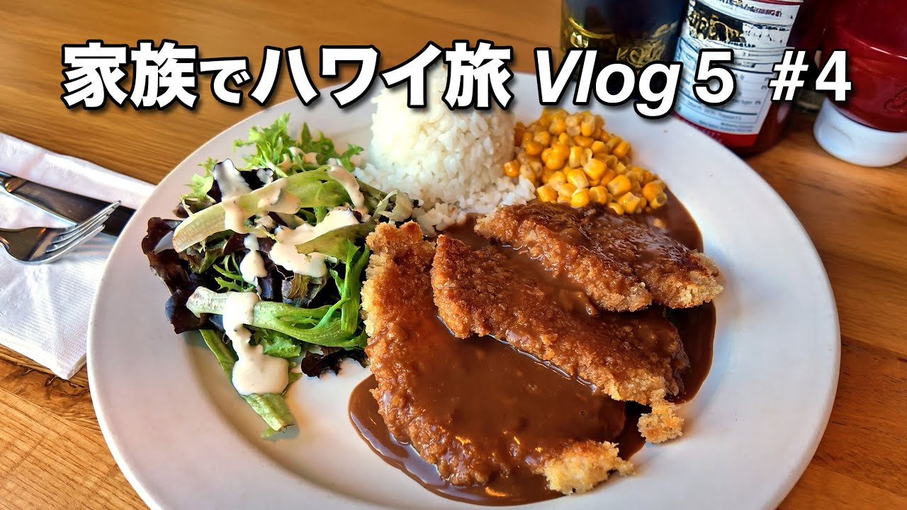 リリハのレストラン／リッツのプール／つるとんたん／カカアコ／ラーメン　陣や／ホール・フーズ 【ハワイ家族旅行Vlog 5-4】