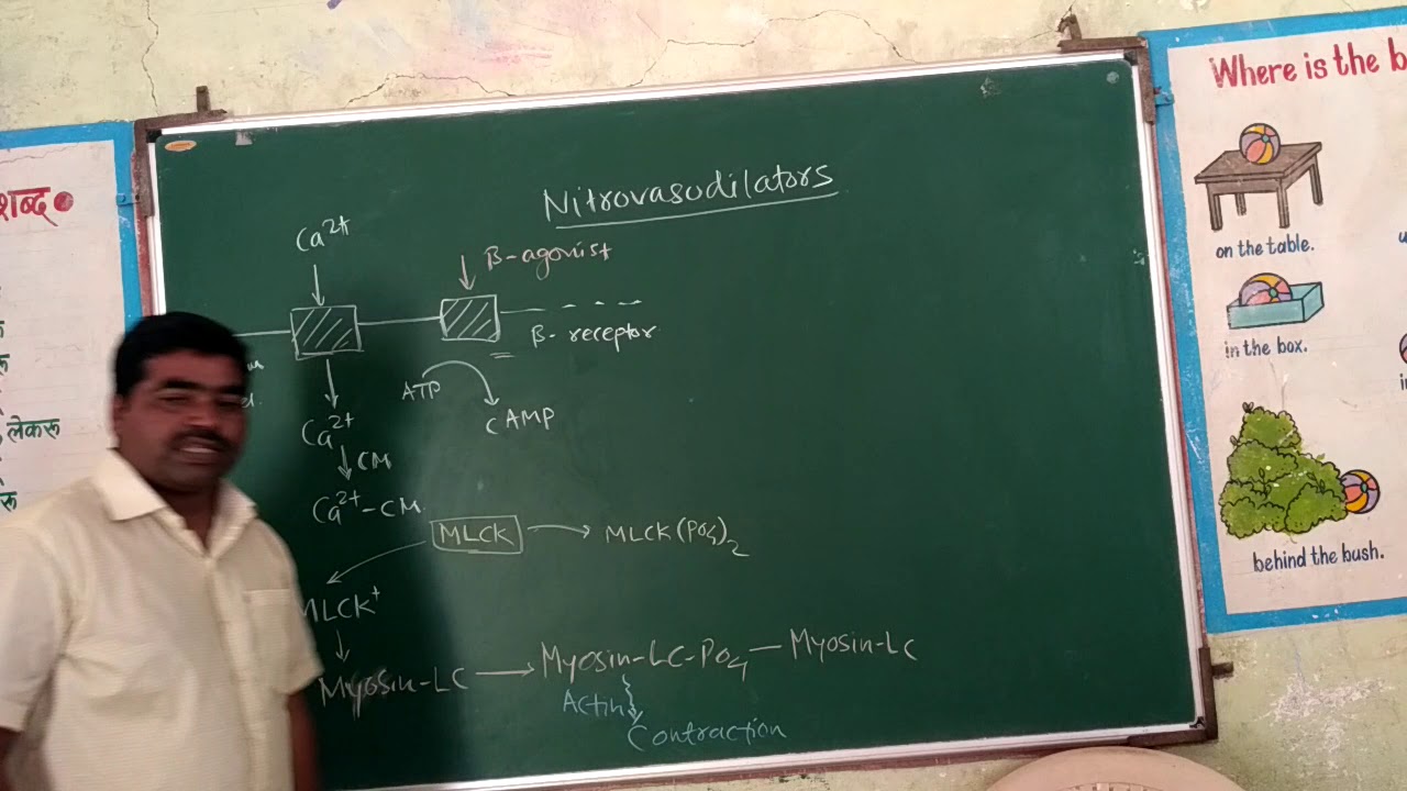 Nitro vasodilators MOA YouTube