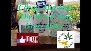 Quick and Easy Diy Weed and Grass Killer!