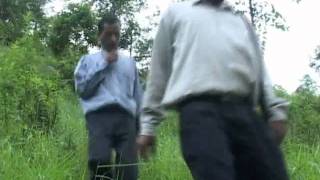 Forest Certification - Steps Towards Sustainability Part 4 Of 4