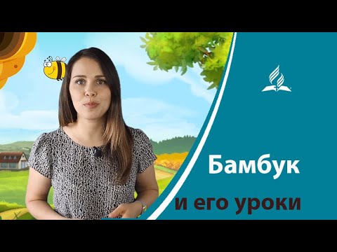 Video: Жеке участоктогу декоративдүү бамбук