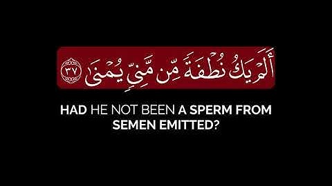 أيحسب الإنسان أن يترك سدى _ جابر القيطان شاشة سوداء قرآن بدون حقوق سورة القيامة كروما (4.mp4