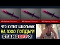 ЧТО КУПИТ ШКОЛЬНИК НА 1000 ГОЛДЫ В STANDOFF 2 ОТКРЫТИЕ 10 КЕЙСОВ ЕМУ ВЫПАЛО КУЧА АРКАН?!