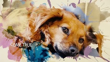 ANYTIME, ANYWHERE, ANYWAY (official music video)