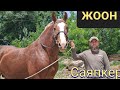 Өтө ЖООН бышты 🐎 ат саяпкерде 👍