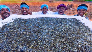 10 MILLION TINY FISHES | Ayira Meen | Rare River Fish Cleaning and Cooking In Village | Fish Recipes screenshot 5