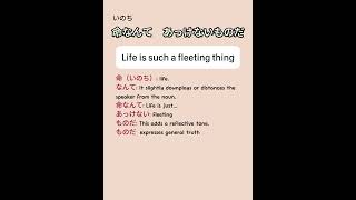 Download Lagu Life is such a fleeting thing - Toramu Nihongo Premium MP3