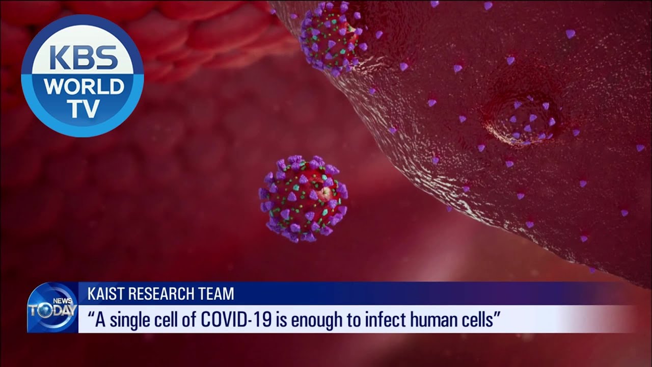 3D Test On How COVID-19 Affects Lungs (News Today) I KBS WORLD TV 201027