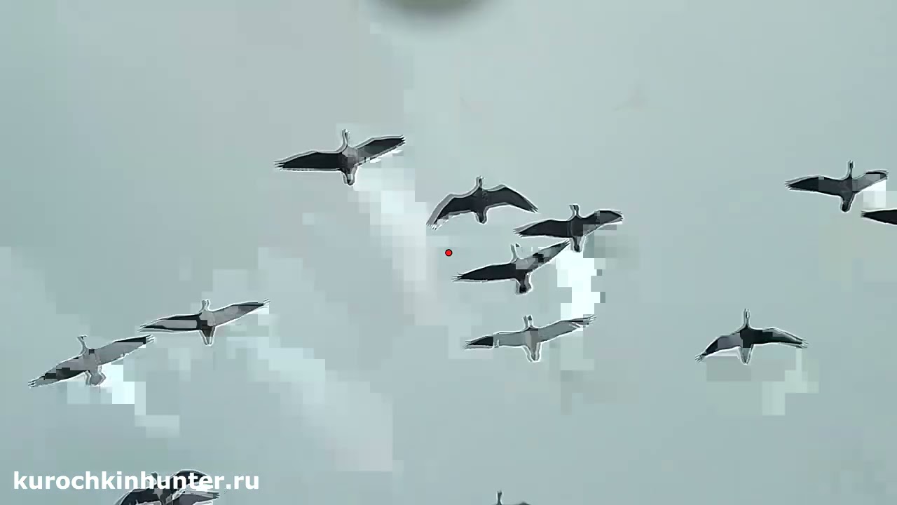 Лучшие налеты Часть 2 - Охота на гуся 2021