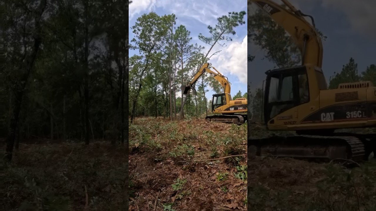 Land clearing 