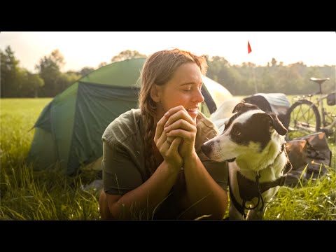 Have I taken away my own freedom? | Back on the Road with My Dog