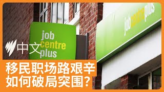 海外学历与经验难获认可，澳洲移民职场困境加剧 | SBS中文