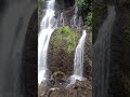 waterfalls shorts#kerala tourism # Abel Shreya shorts #Aane wala pal song shorts