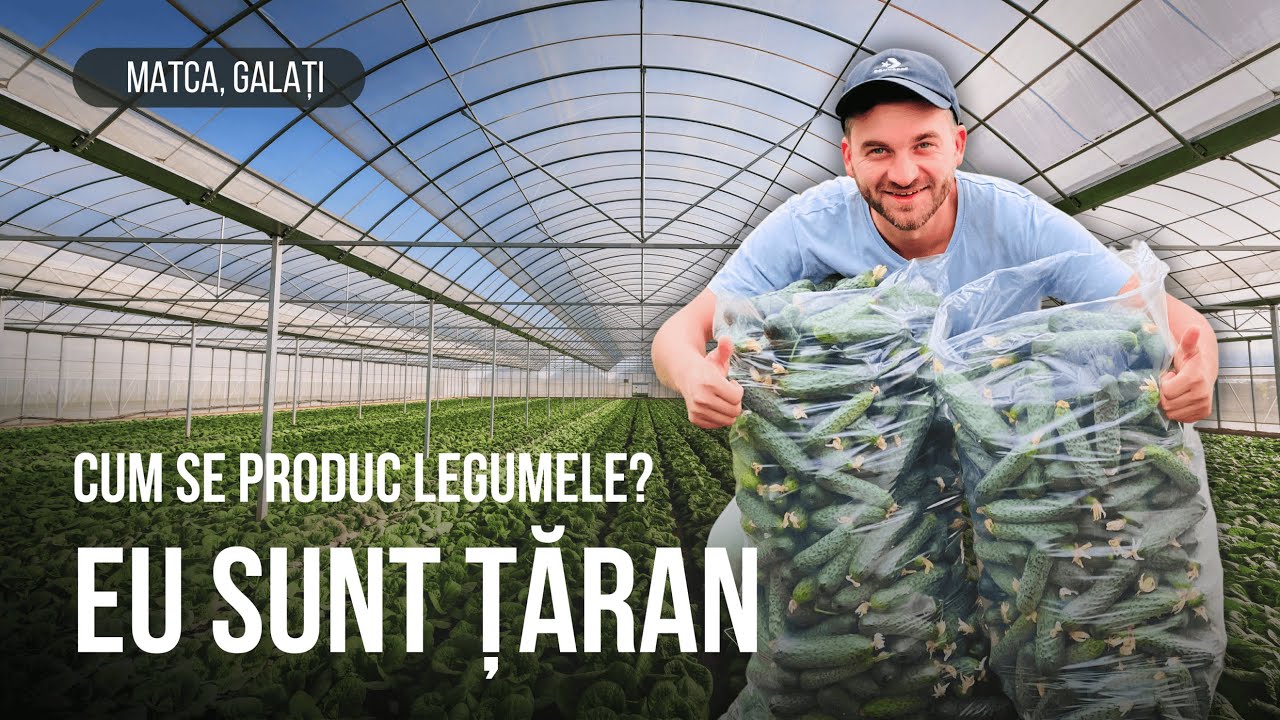 Merită să te apuci de legumicultură? 👨🏽‍🌾