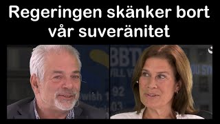 Intervju med Mikael Willgert om det odemokratiska riksdagsarbetet