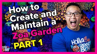 Ep.13  How To Create & Maintain A Zoa Garden Part 1