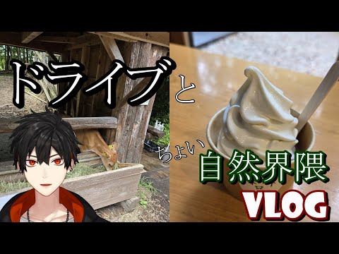 栃木の那須に自然界隈をしつつ絶品アイスクリームを食べるvlog【ドライブ】
