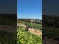 Glen Carlou Wine Estate #capetown #winetasting