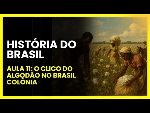 Historia do Brasil aula 11: o Ciclo do Algodão
