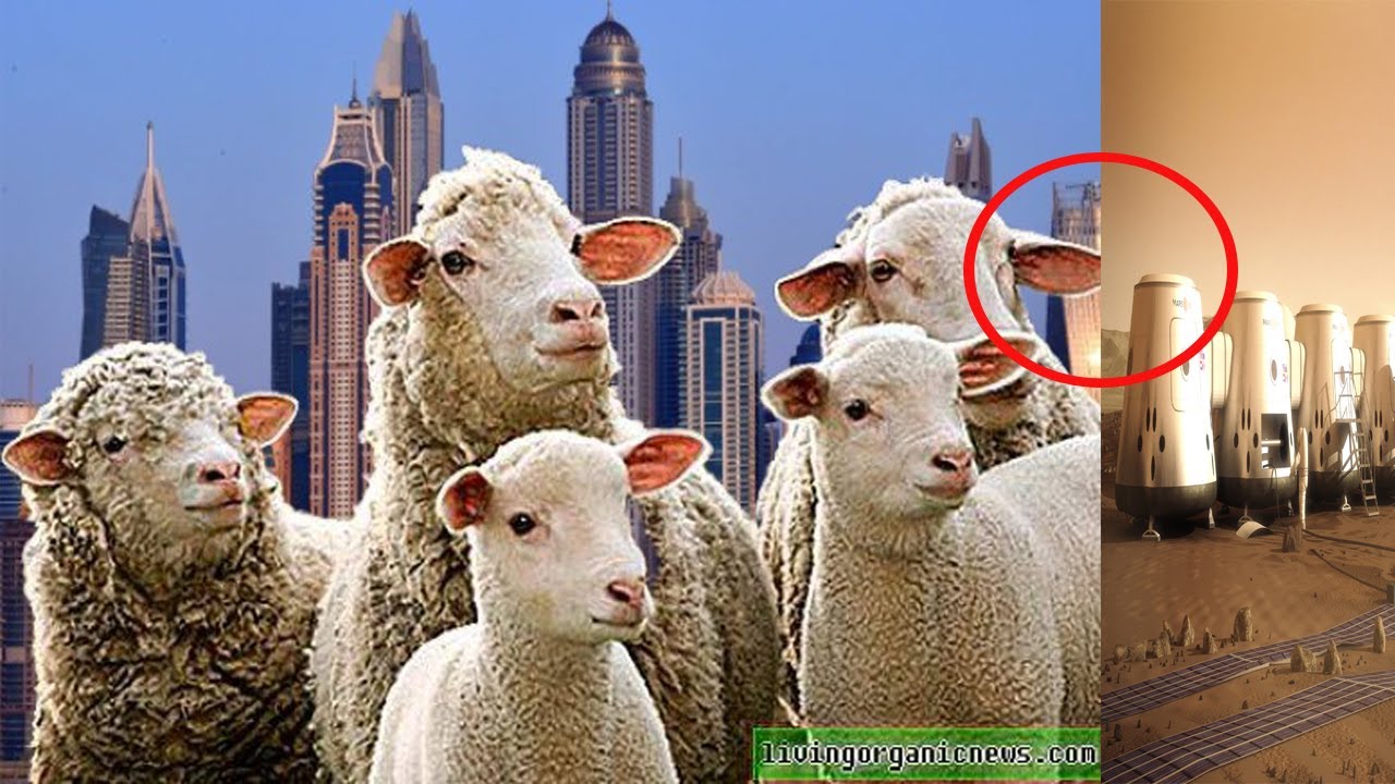 Ismael Mwanafunzi/ AHO UBWITONZI BW'INTAMA BWATURUTSE,ZAGIRAGA AMAHANE! waruziko Ismael Mwanafunzil