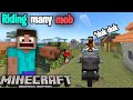 Riding many mobs | Minecraft PE mod