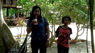 20130113_122205.mp4
