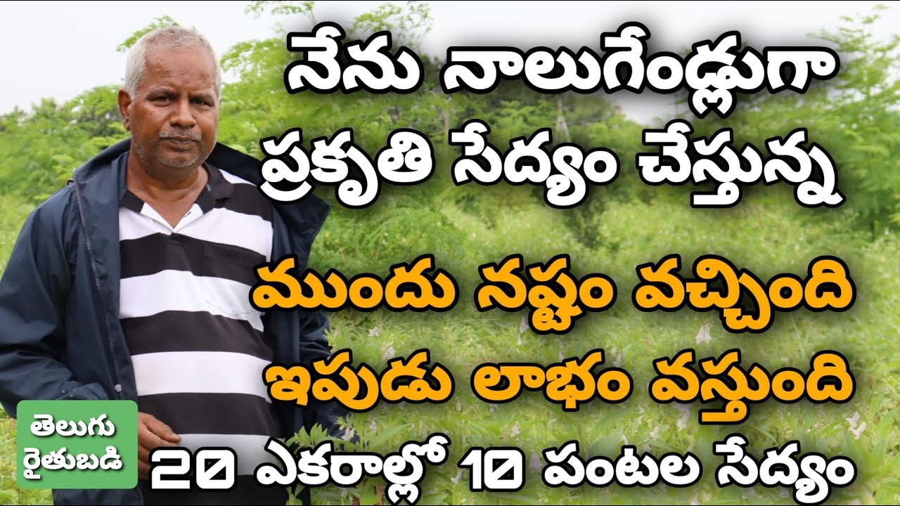 Successful Natural Farming in 20 Acres నాలుగేండ్లుగా ప్రకృతి సాగు Telugu RythuBadi YouTube