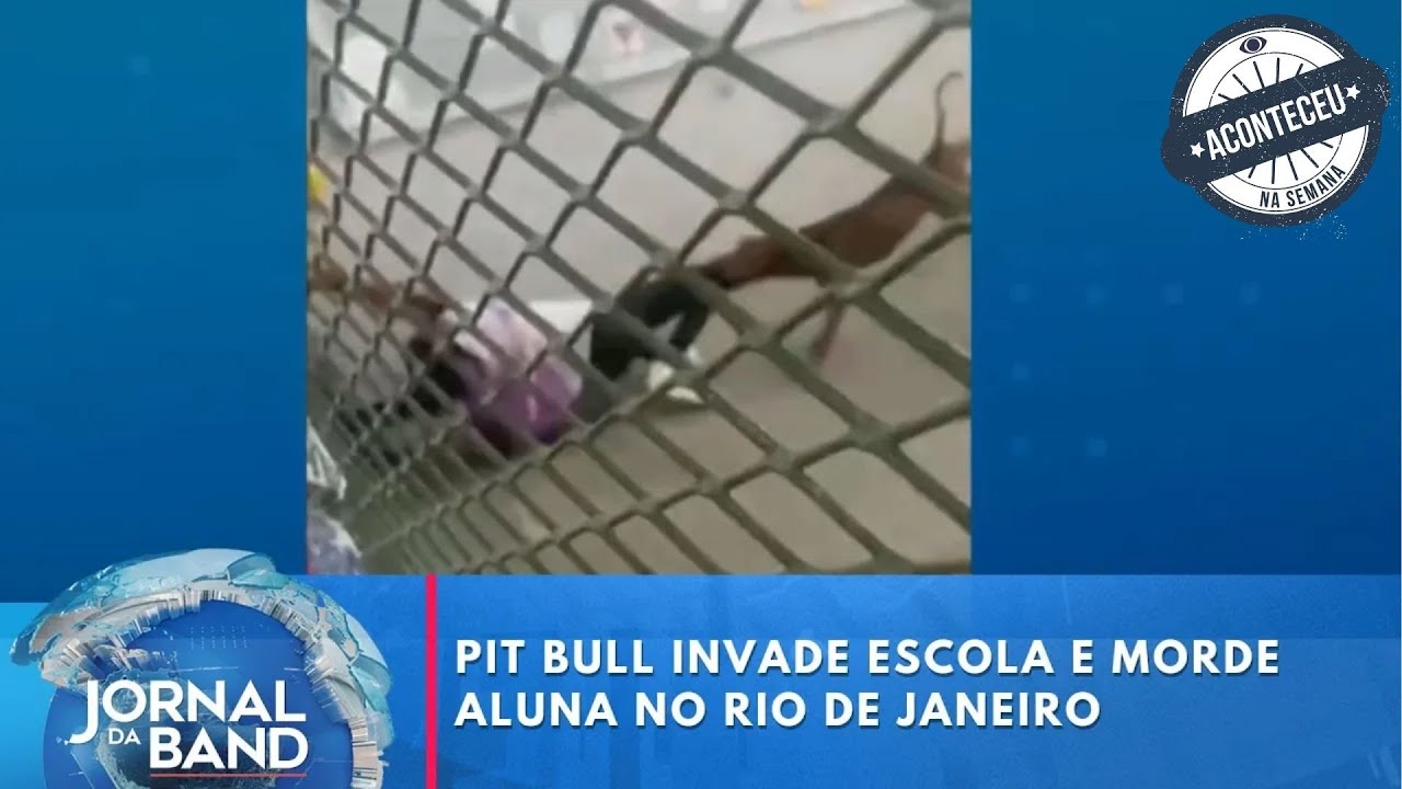 Pit Bull invade escola e morde aluna no Rio de Janeiro | Aconteceu na Semana