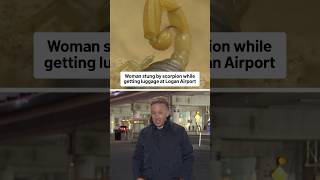 A woman was stung by a scorpion while retrieving her luggage at Logan Airport, according to police.