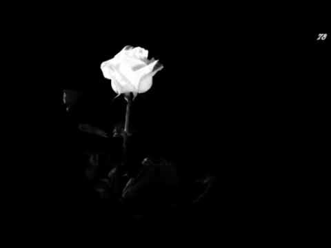 Promesas (Slowed & Reverb) - José José 