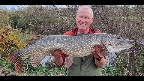 Big 23lb pike and large barbel  from the river Wye
