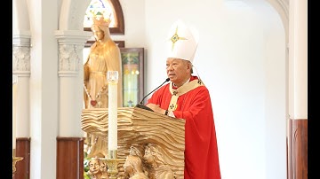 Bài Giảng Của Đức Hồng Y Phêrô Nguyễn Văn Nhơn trong Thánh Lễ Đại Triều.