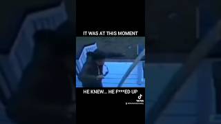 Ouch #failarmy #failvideo #fails #ouch #viral #fyp #tiktok