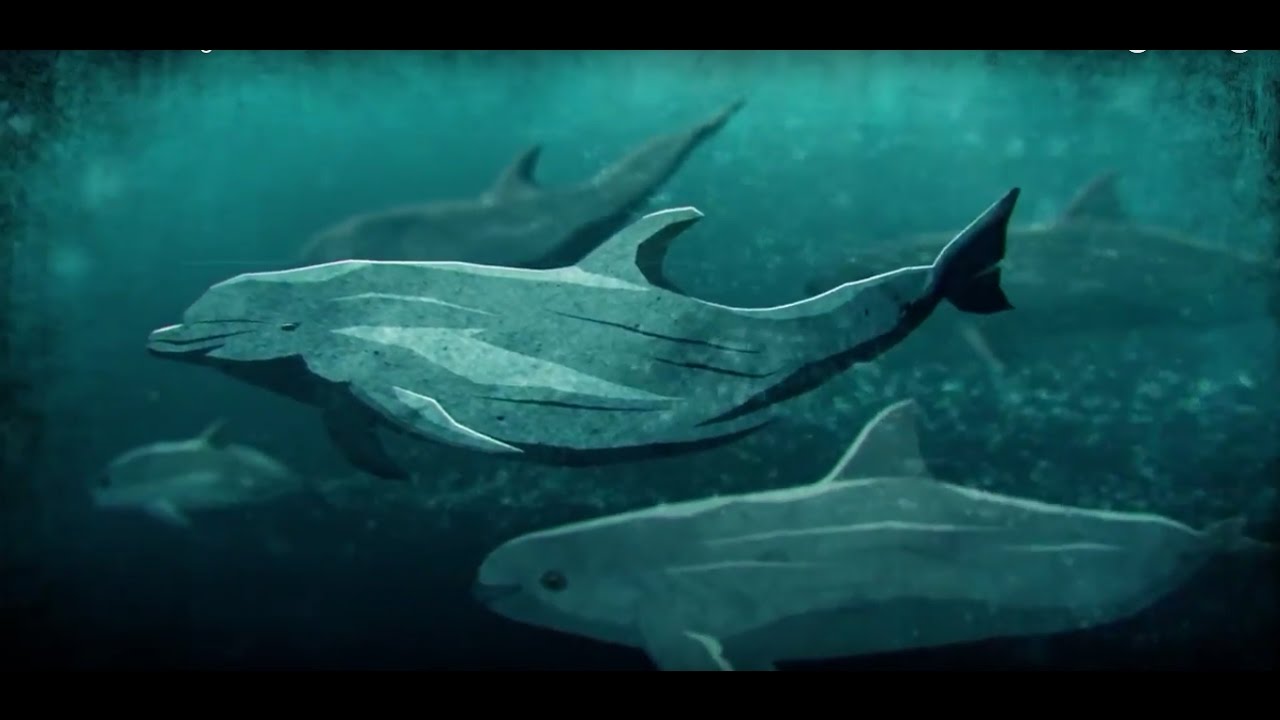 Souls of the Vermilion Sea- Full Endangered Vaquita Documentary