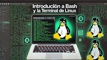 1️⃣ introducción a bash y la terminal de linux
