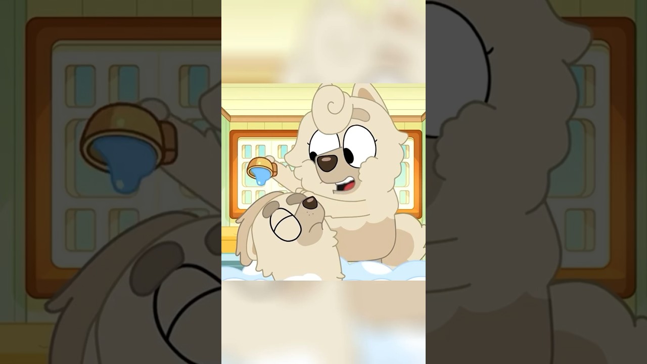 Judo’s hair routine… 