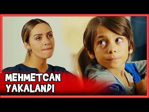 Ali ve Sinem,