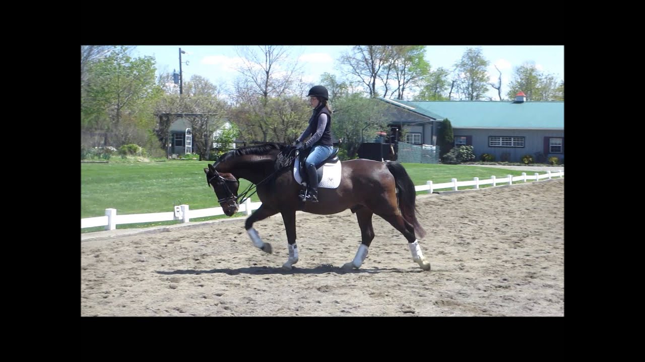 Wiecor I1 Freestyle April 2015 practice