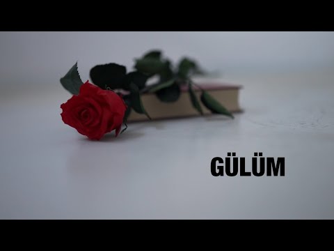 Gülüm Versiyon V10