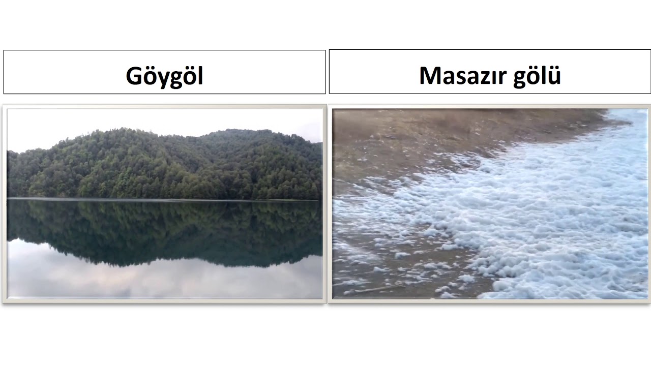 Dim gov. Coğrafiya dim.