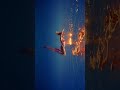 ♥️ Thanks for the beauty | from @danhlegend | #beautiful #girl #underwater #aesthetic #atmospheric