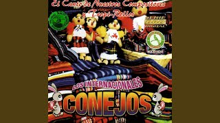 Video thumbnail of "Internacionales Conejos - El Nortirrollo #3"