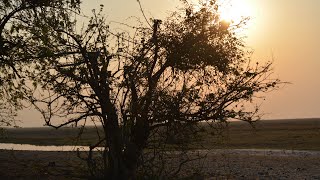 Chobe Game Lodge (best African Lodge), Botswana & Victoria Falls, Zambia