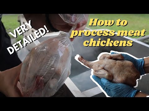 STEP BY STEP: BUTCHERING + PROCESSING MEAT CHICKENS! | The Galloway Farm
