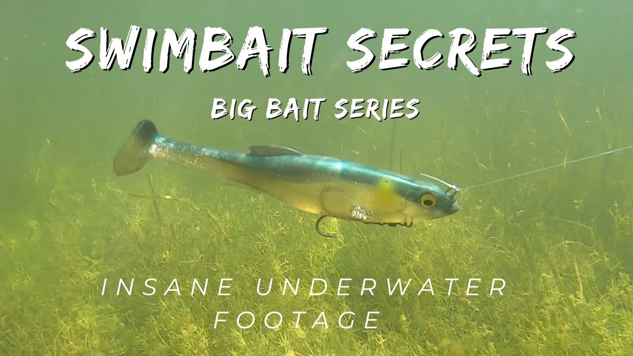 Big Swimbait Bass Fishing - Insane Underwater Footage
