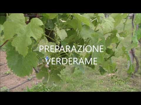 Preparazione e irrorazione