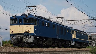 EF64 1031+EF65 1115 NN入場配給(廃車配給)