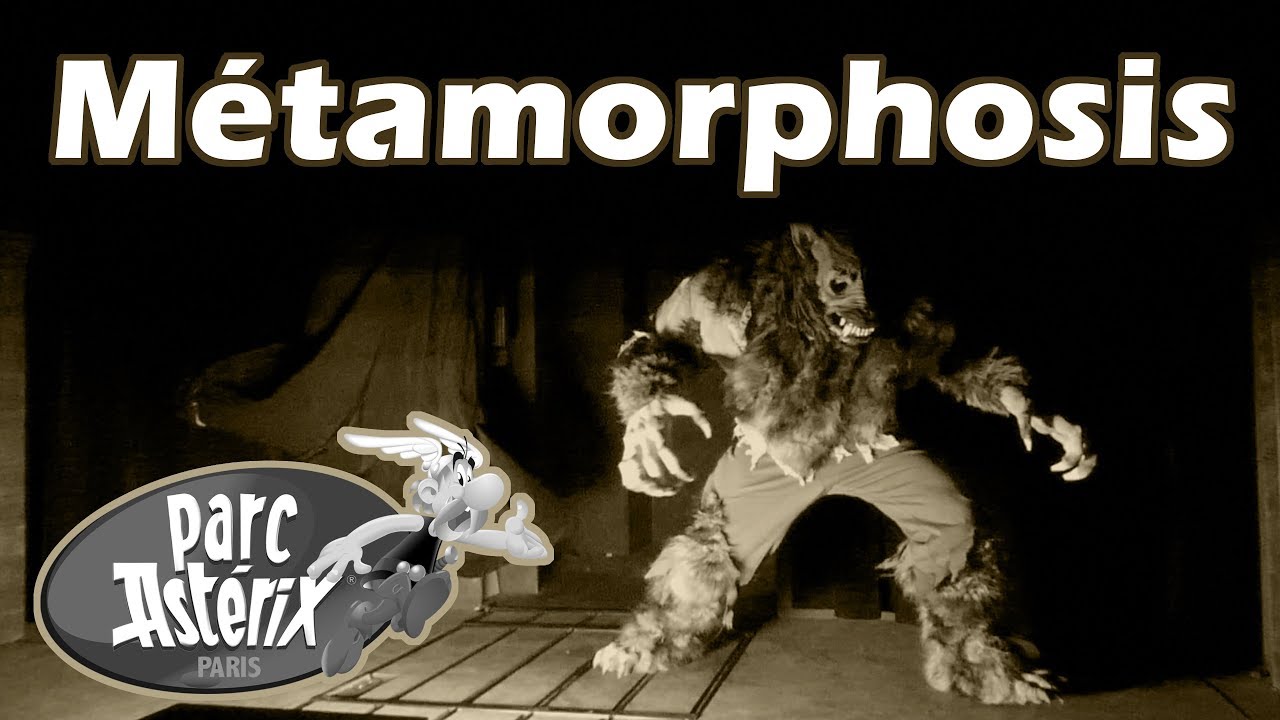 🎢Métamorphosis - spectacle 