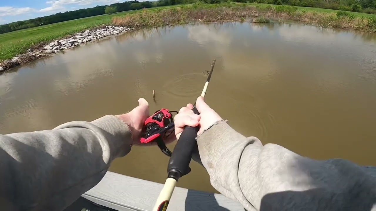 Great day off the bank #bassfishing #prespawn #fishing #bigbass #freshwaterfish #bass #goviral