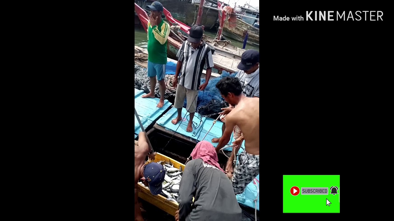 SEPERTI APA BONGKAR IKAN NELANYAN,anak kapal ,berbagai ...